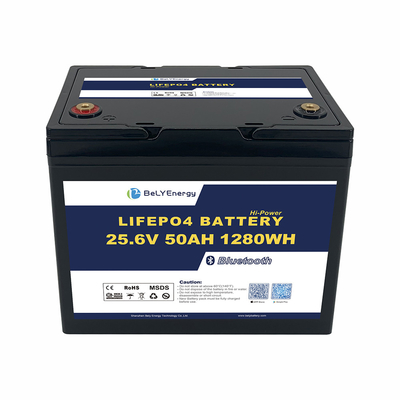 OEM ODM এবিএস অ্যান্টি-ইউভি মেরিন বোট ব্যাটারি 24V 50AH লাইফপো 4 লিথিয়াম ব্যাটারি বিটি সহ